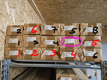 Enkele lachspiegel forex