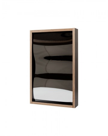 Lachspiegel 60x38 zwart bol hol bol 5gr int