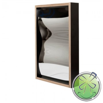 Lachspiegel 60x38cm zwart